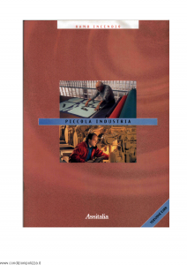 Assitalia - Piccola Industria - Modello nd Edizione 2001 [27P]