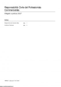 Aurora - Responsabilita' Civile Del Professionista Commercialista Allegato 2027 - Modello 2027 Edizione 04-2004 [5P]