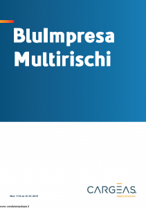 Cargeas - Blu Impresa Multirischi - Modello 1718 Edizione 01-01-2019 [96P]