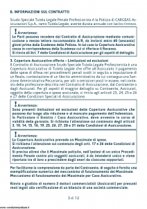 Cargeas - Scudo Speciale Tutela Legale Penale Professionista - Modello 1385 Edizione 01-10-2015 [32P]