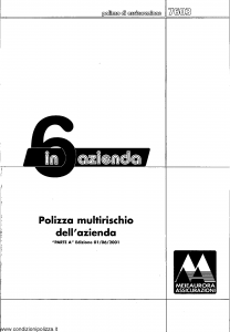 Meie Aurora - 6 In Azienda Multirischi Dell'Azienda - Modello u7603a Edizione 01-06-2001 [SCAN] [37P]