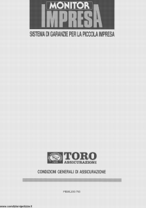 Toro - Monitor Impresa Sistema Garanzie Per La Piccola Impresa - Modello pb59l200.793 Edizione 29-06-1993 [48P]