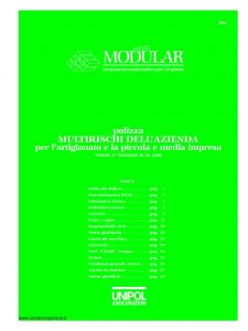 Unipol - Modular Polizza Multirischi Dell'Azienda Per L'Artigianato E La Piccola E Media Impresa - Modello 3021 Edizione 01-2008 [44P]