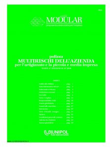 Unipol - Modular Polizza Multirischi Dell'Azienda Per L'Artigianato E La Piccola E Media Impresa - Modello 3021 Edizione 07-2010 [44P]